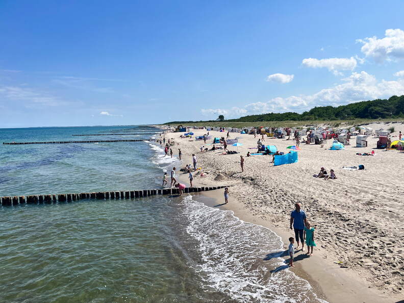 24-06-29 11-36-11 0008